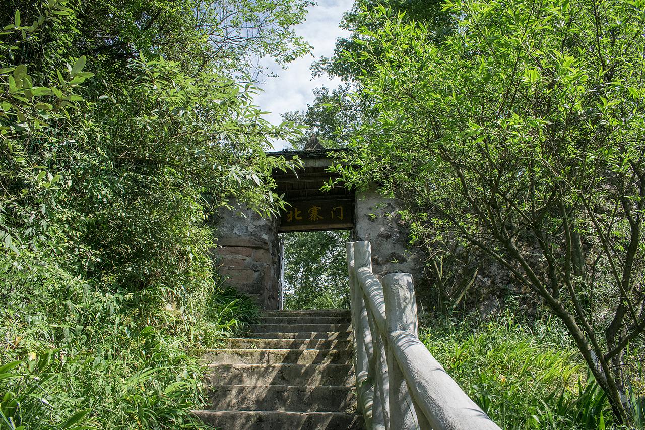 葛仙山的山茶花开了（图ZMzQwNjUyMDEy） - 风光摄影 - 站酷设计师一生素纸原创素材 - 站酷ZCOOL