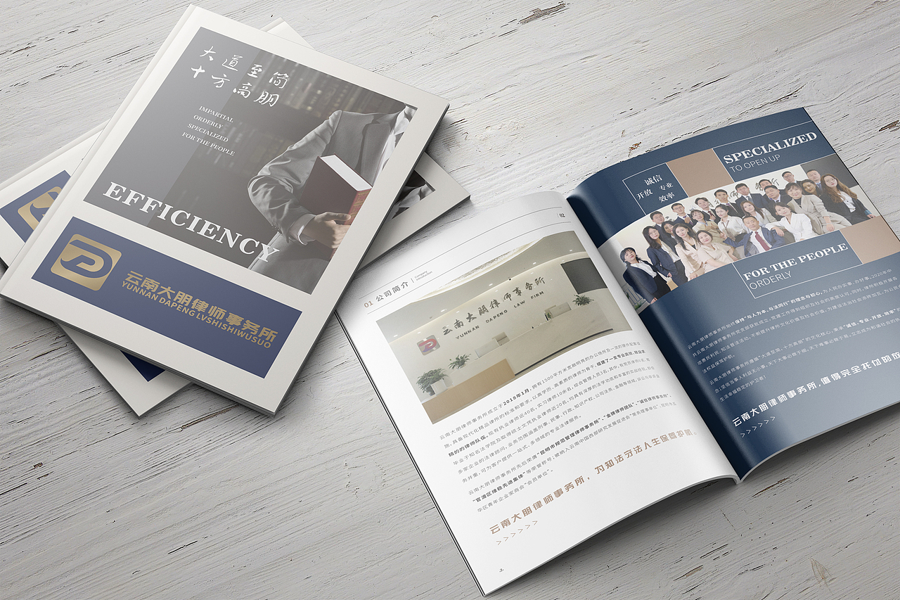<律师事务所画册设计>
