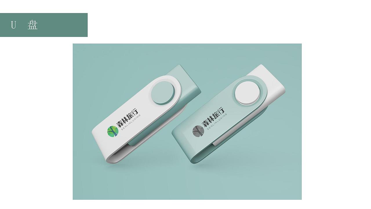 VI设计 LOGO设计 样机