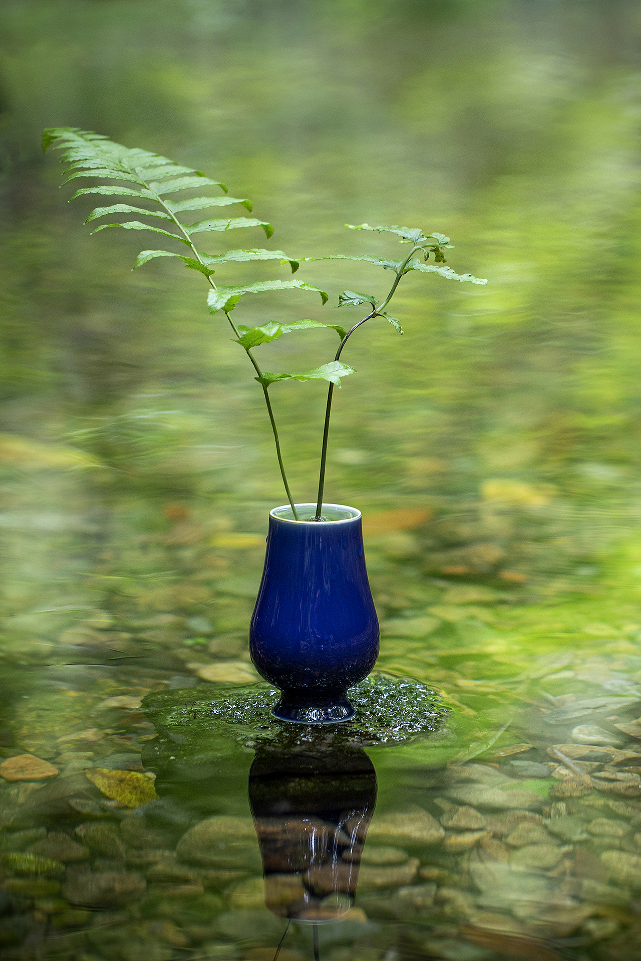 茶|闲饮茶（图ZMzA0NTAxODEy） - 产品摄影 - 站酷设计师丰墨原创素材 - 站酷ZCOOL