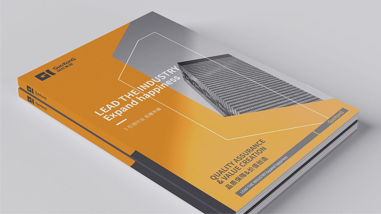 国控集团品牌设计(飞机稿)