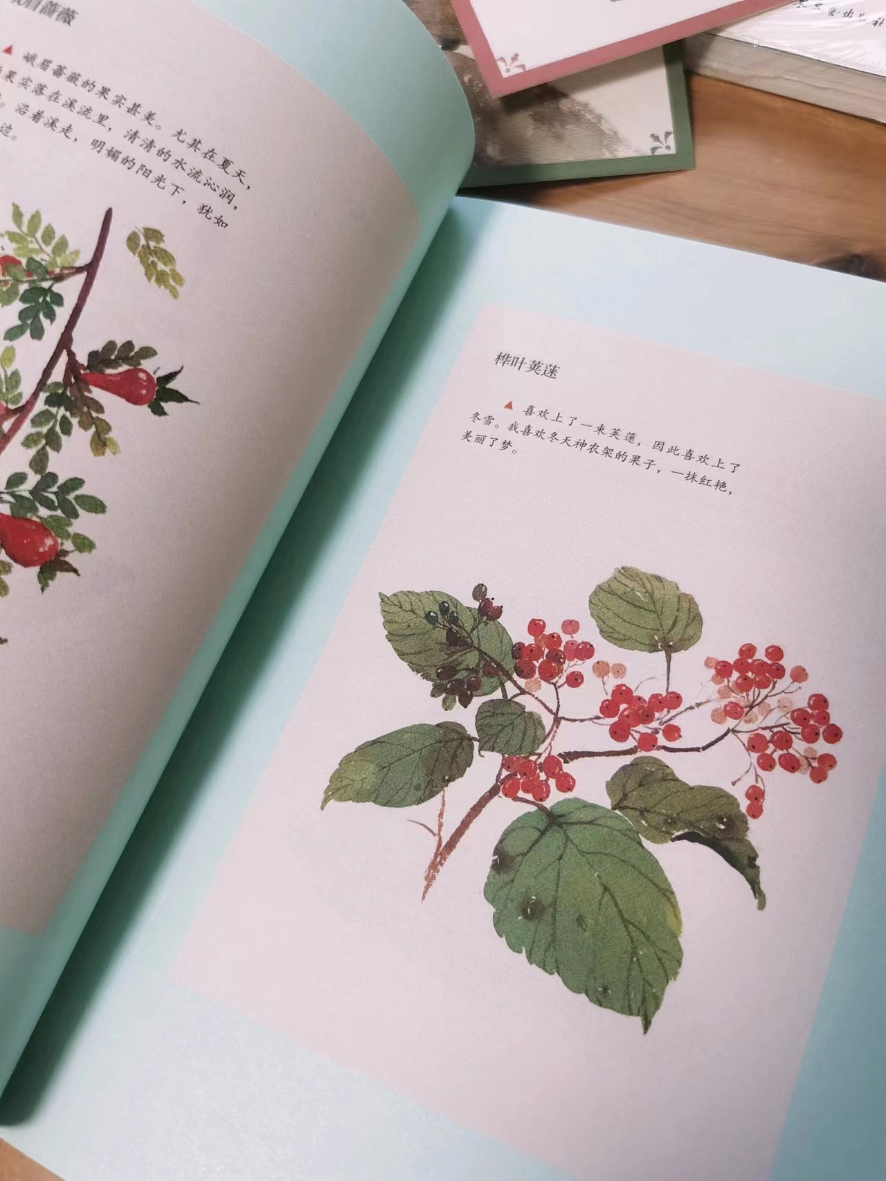 商业内插图（图ZMzI4MDc1OTA0） - 商业插画 - 站酷设计师三淼君原创素材 - 站酷ZCOOL