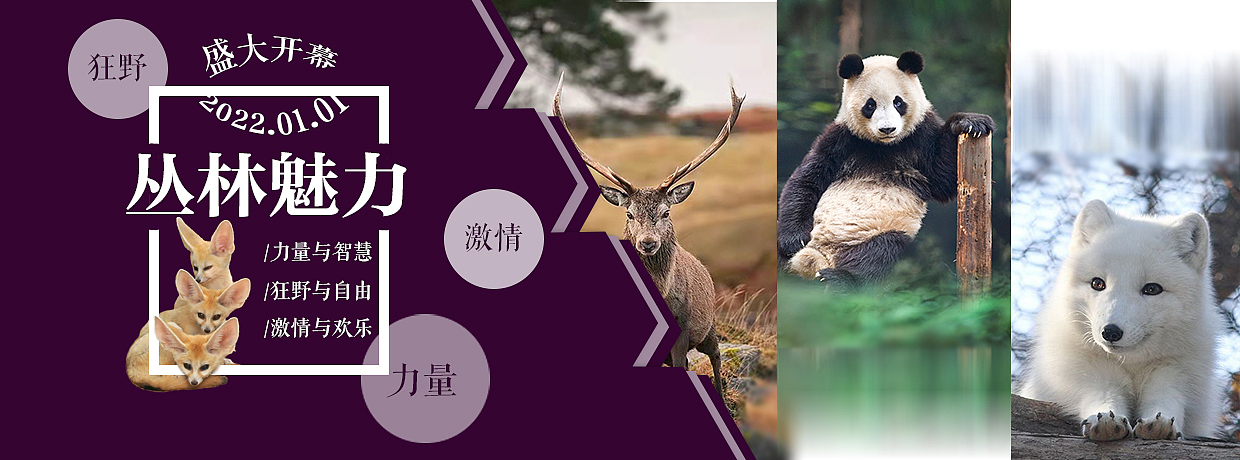 banner设计 | 以动物园为主题设计的网站横幅广告