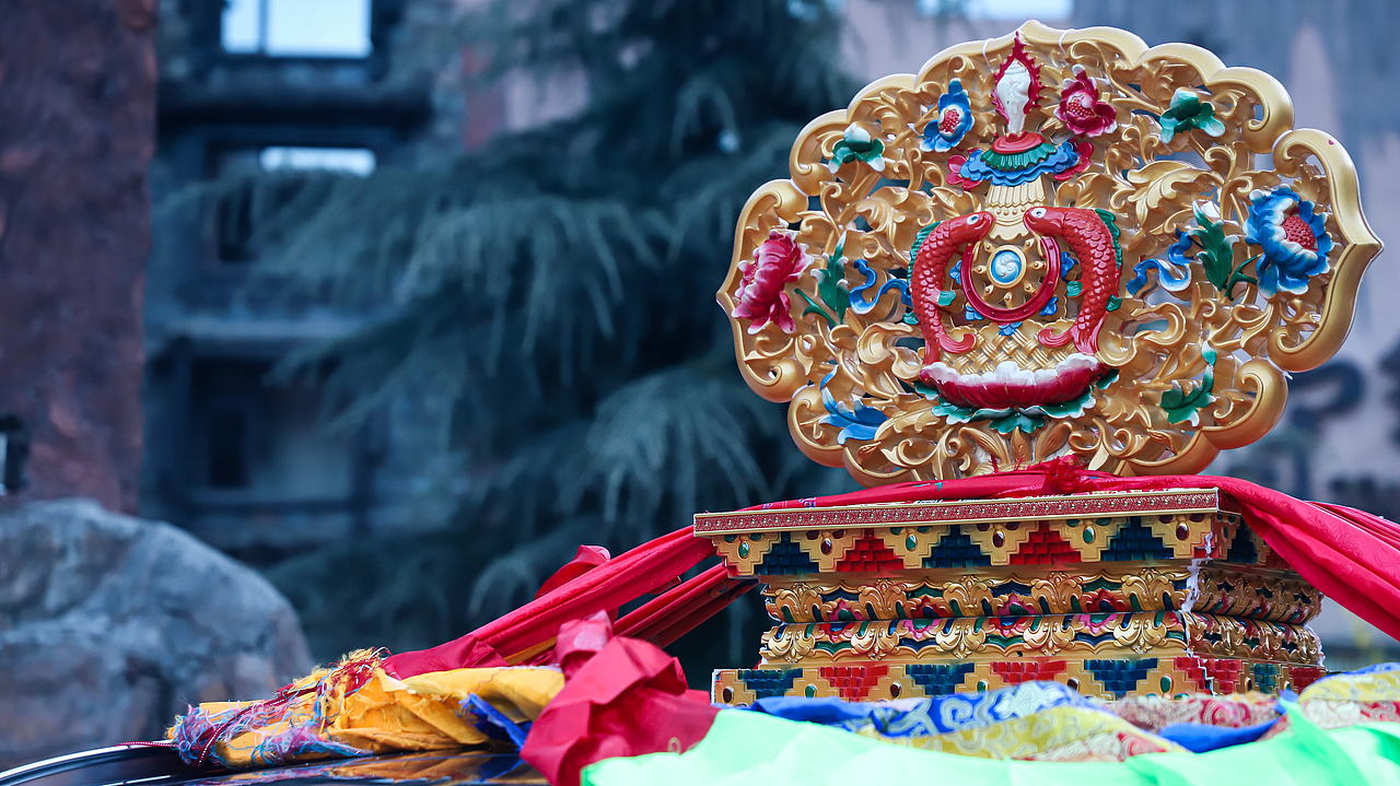 Natural Scenery丨成都《3》