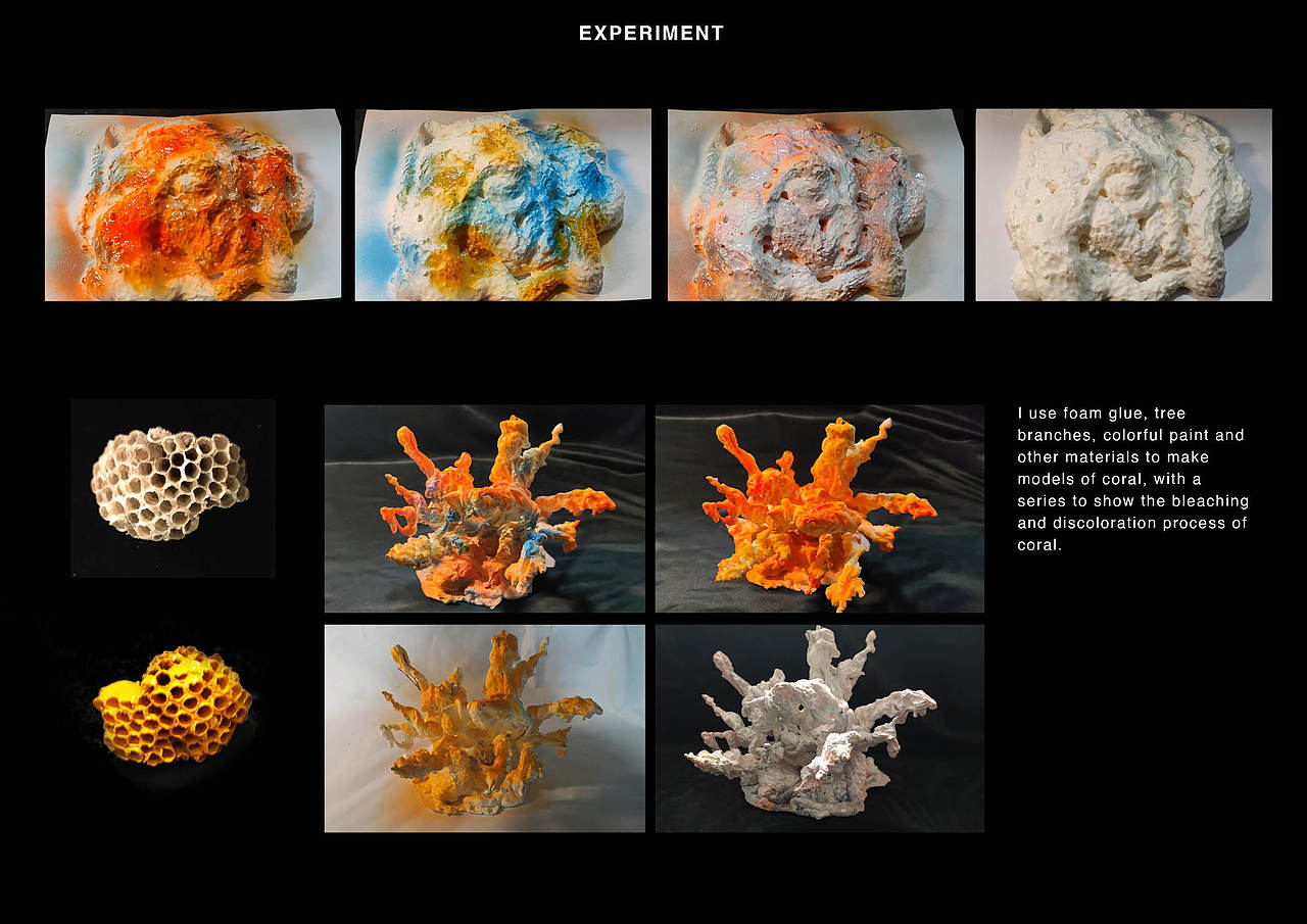 珊瑚白化-coral bleaching