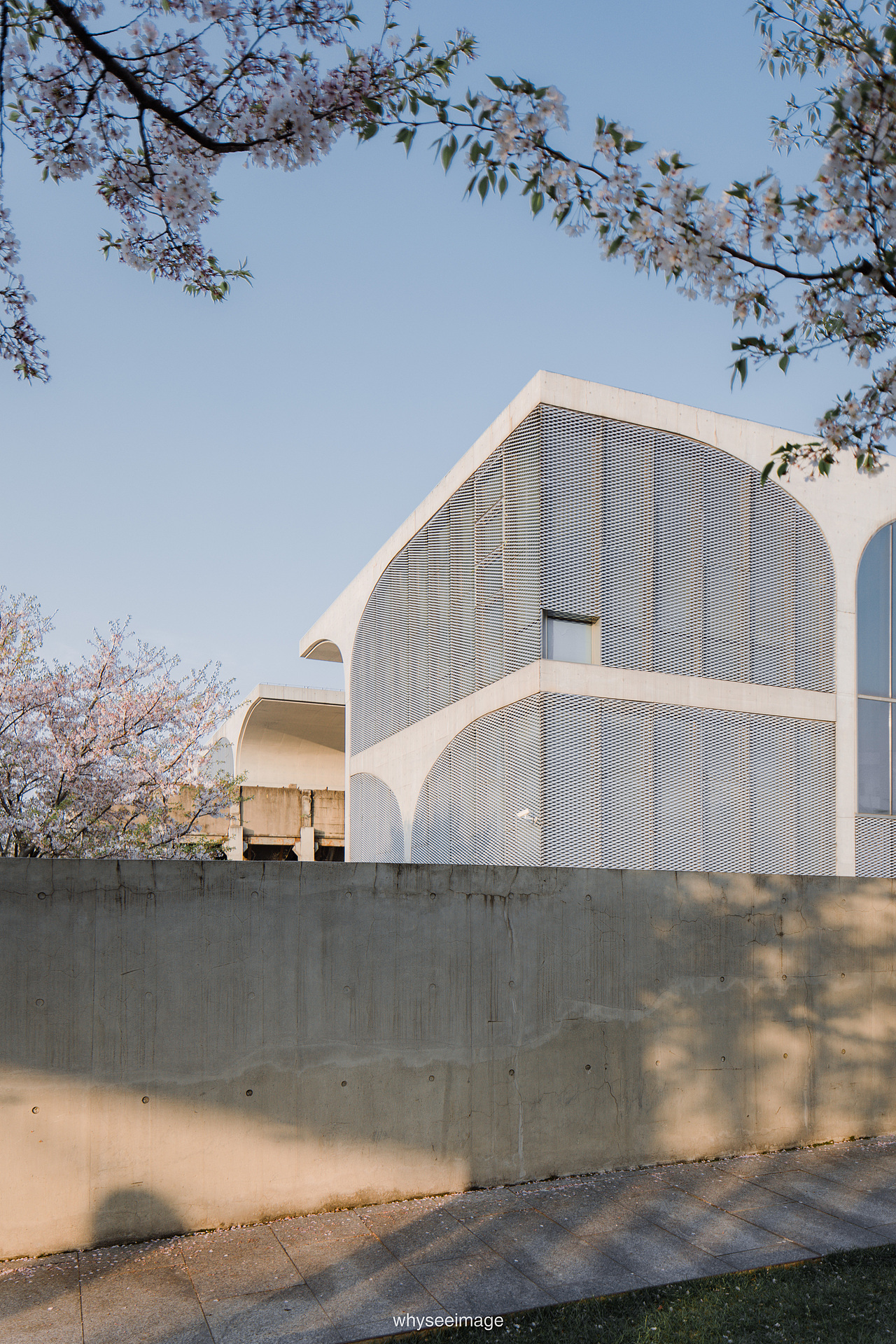 一片樱花在龙美旁落下 | 魔都建筑奇谭记（图ZMzAwODA1OTgw） - 环境/建筑摄影 - 站酷设计师whyseeimage原创素材 - 站酷ZCOOL