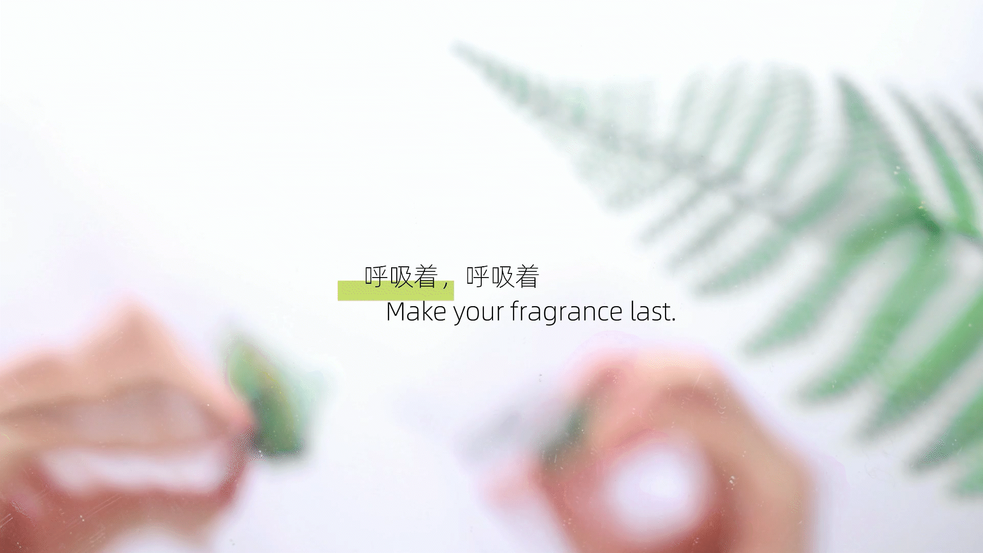 香水系列视频设计/与孔雀共舞.