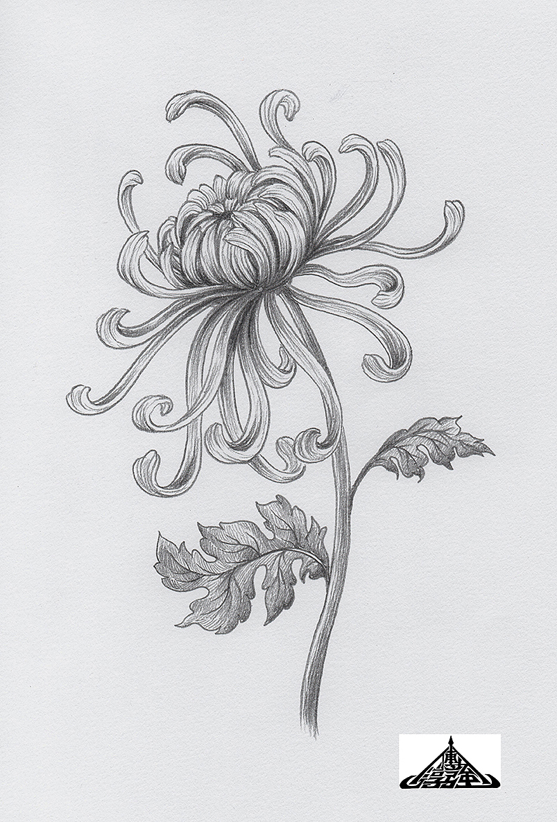 为“宫廷文化”绘制的素描风插画（图ZMzIxNTU0OTI0） - 商业插画 - 站酷设计师傅淳强画者之旅原创素材 - 站酷ZCOOL