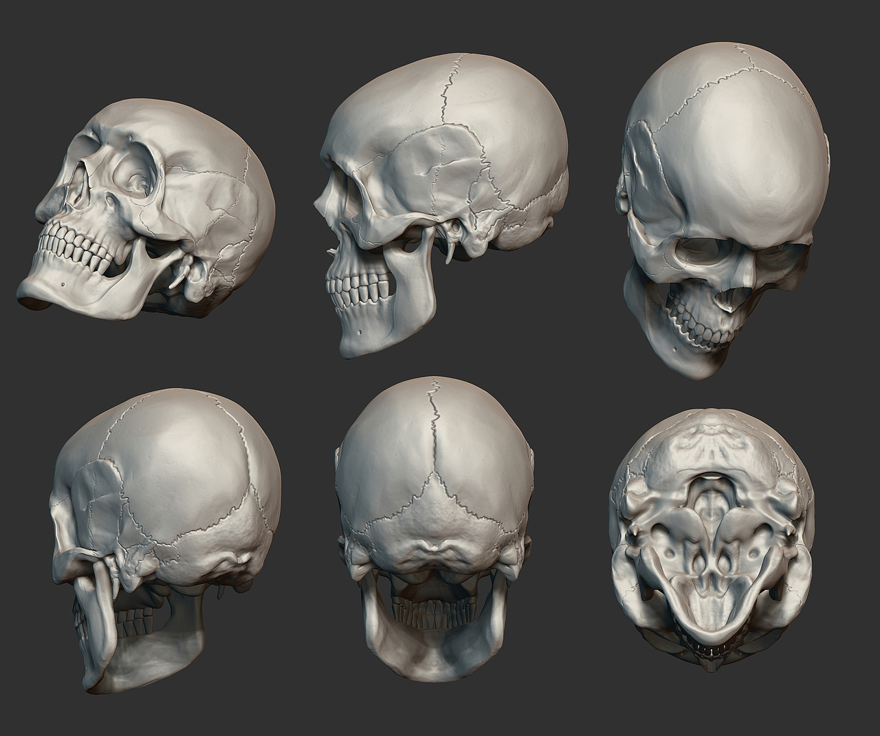 zbrush头骨雕刻练习