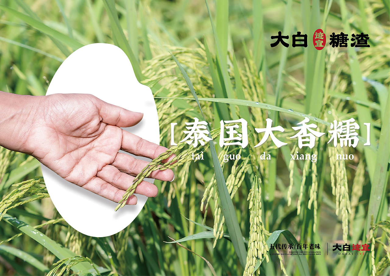 大白迹宜®糖渣/品牌升级/策略及设计/案例深度剖析