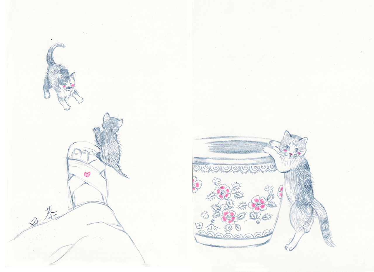 绘本《致我们亲爱的故乡》二印的签绘明信片