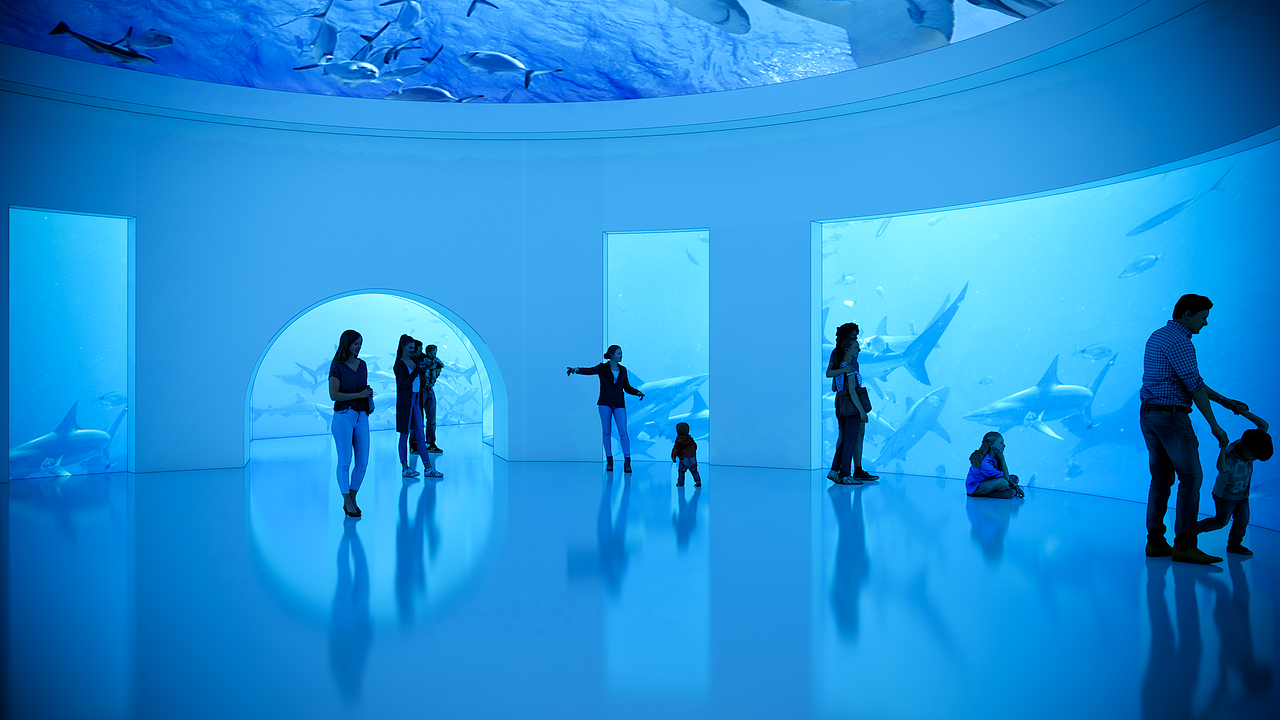 海洋馆规划设计,景观设计,水族馆设计,鲨鱼池