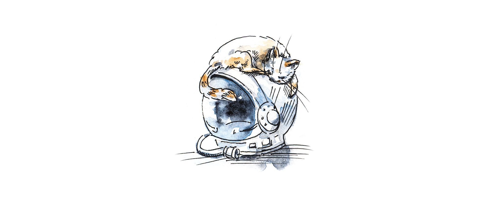 Watercolor illustrations for a children's boo