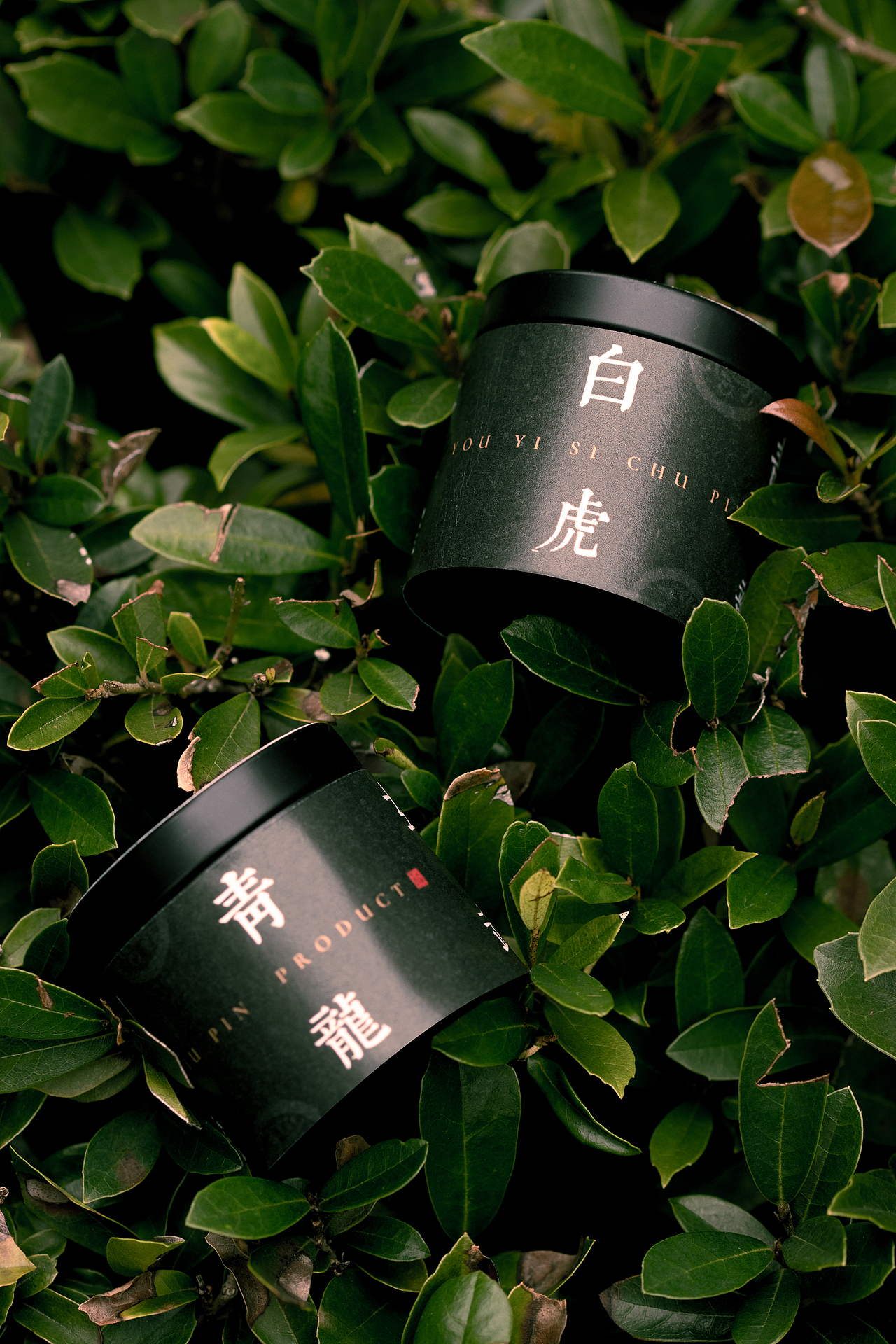 有意思出品 | 文玩产品摄影 | 四神兽金吊坠