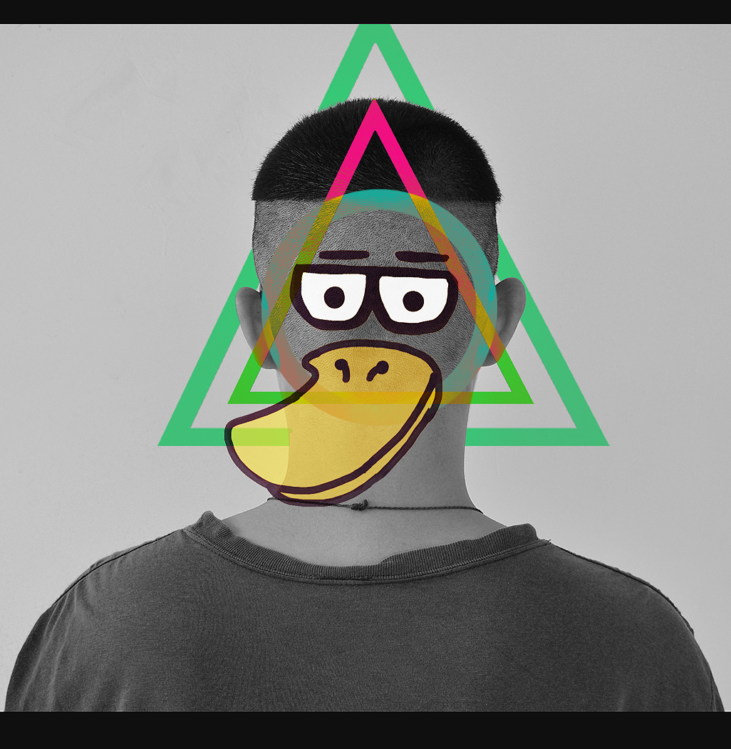 orange and mallards（图ZNTgwMTQ2NA==） - 创作习作 - 站酷设计师nilelanger原创素材 - 站酷ZCOOL