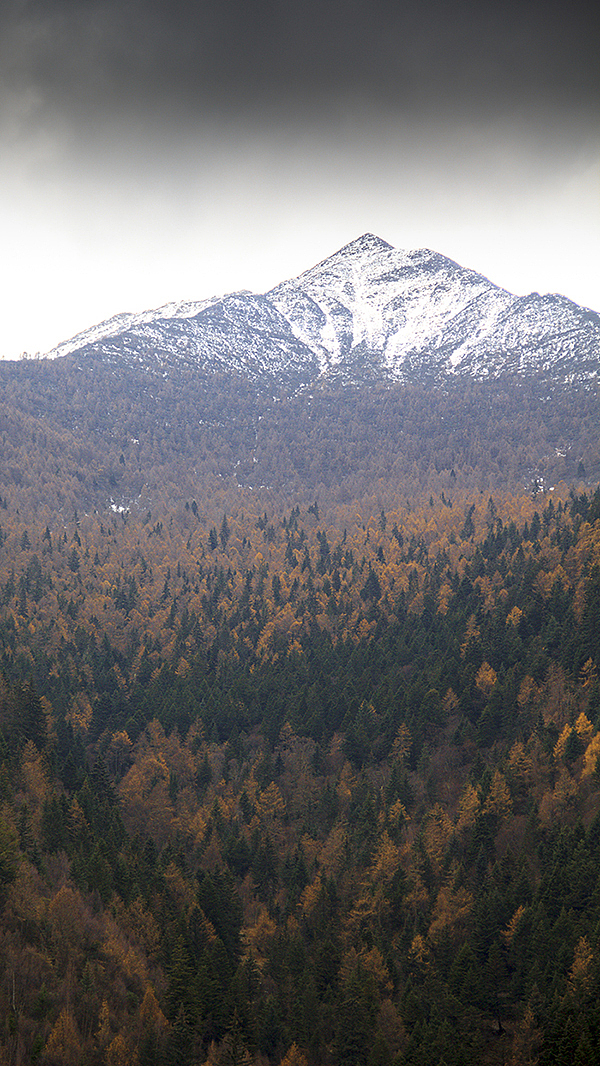 2018 Collection（图ZMTM5OTk3NDE2） - 其他摄影 - 站酷设计师JonasDaley原创素材 - 站酷ZCOOL