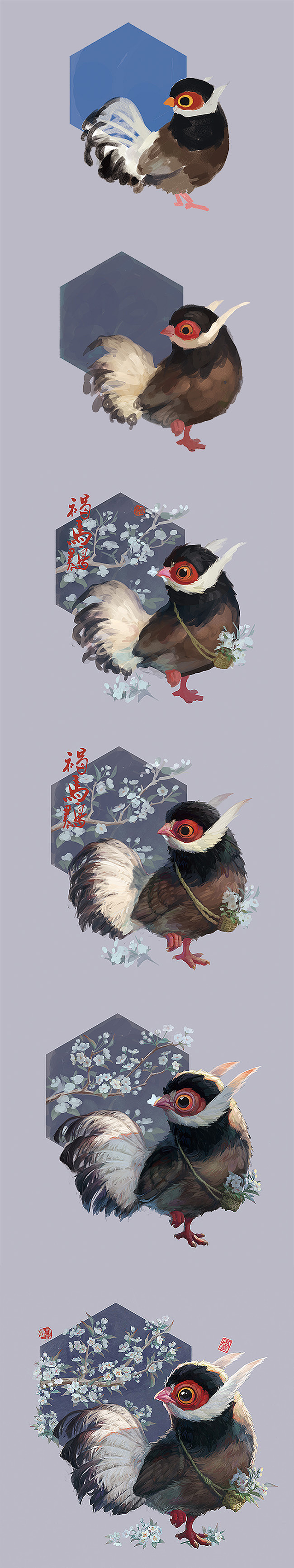 【中国珍惜动物】——褐马鸡