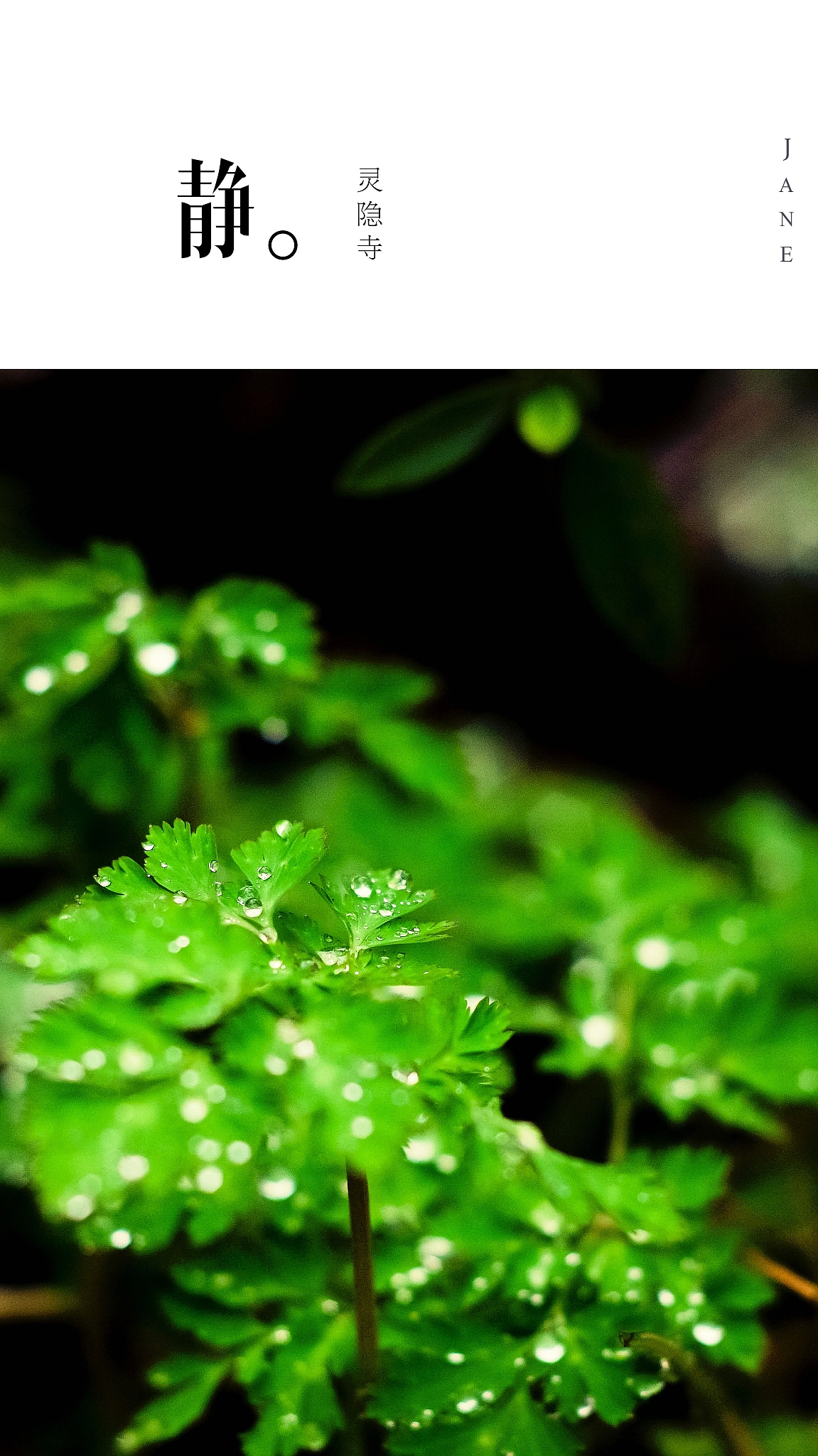 灵隐寺（图ZNDE4ODI3MjA=） - 风光摄影 - 站酷设计师木木家CC原创素材 - 站酷ZCOOL