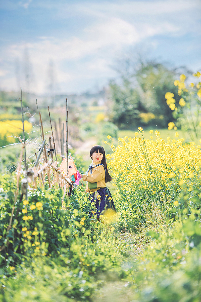 开满油菜花的田野