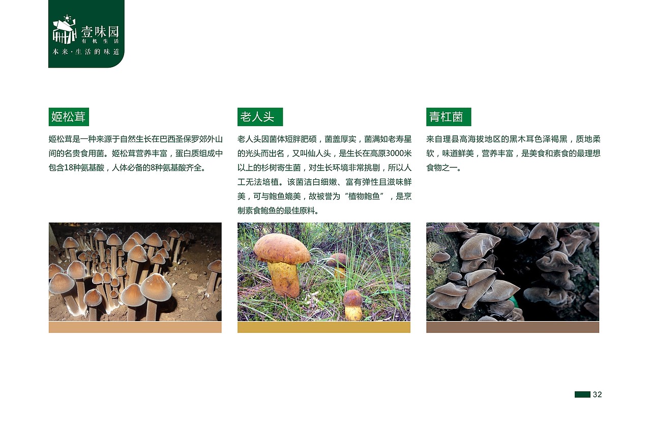 一本绿色食品的电子画册，不足之处欢迎指教。（图ZMjc0NjczNjQ=） - 书籍/画册 - 站酷设计师wangtong20原创素材 - 站酷ZCOOL