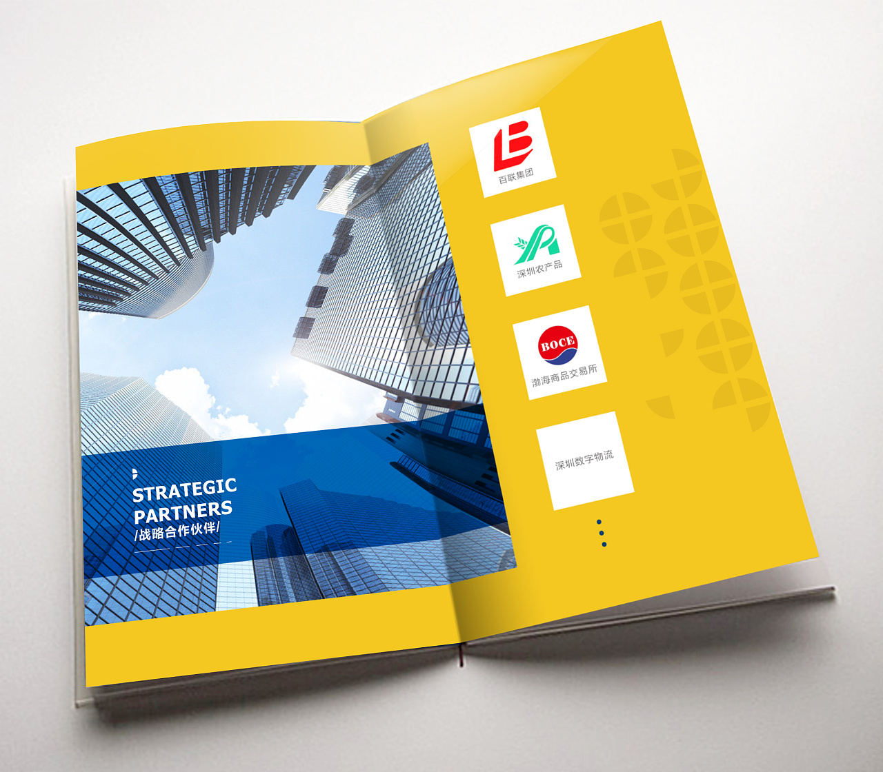 公司的一套宣传册设计