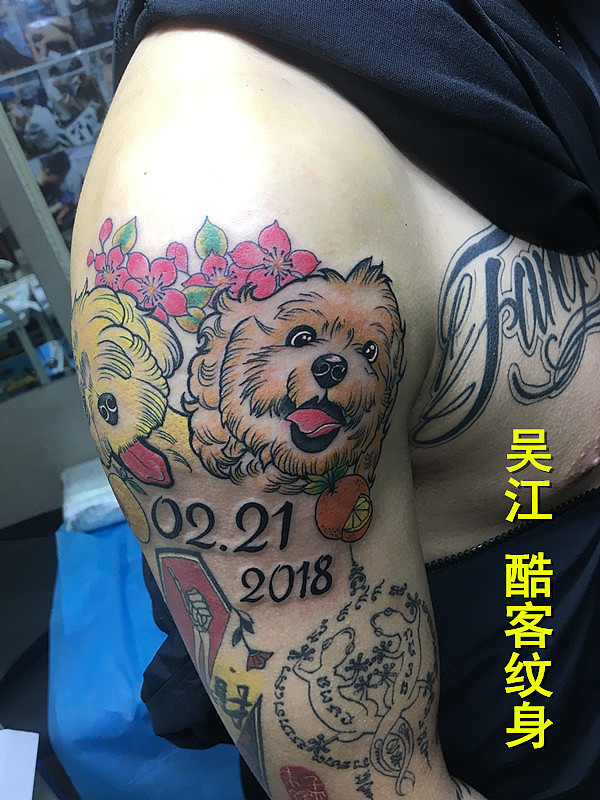 动物纹身图案满背雄鹰纹身图案吴江酷客纹身