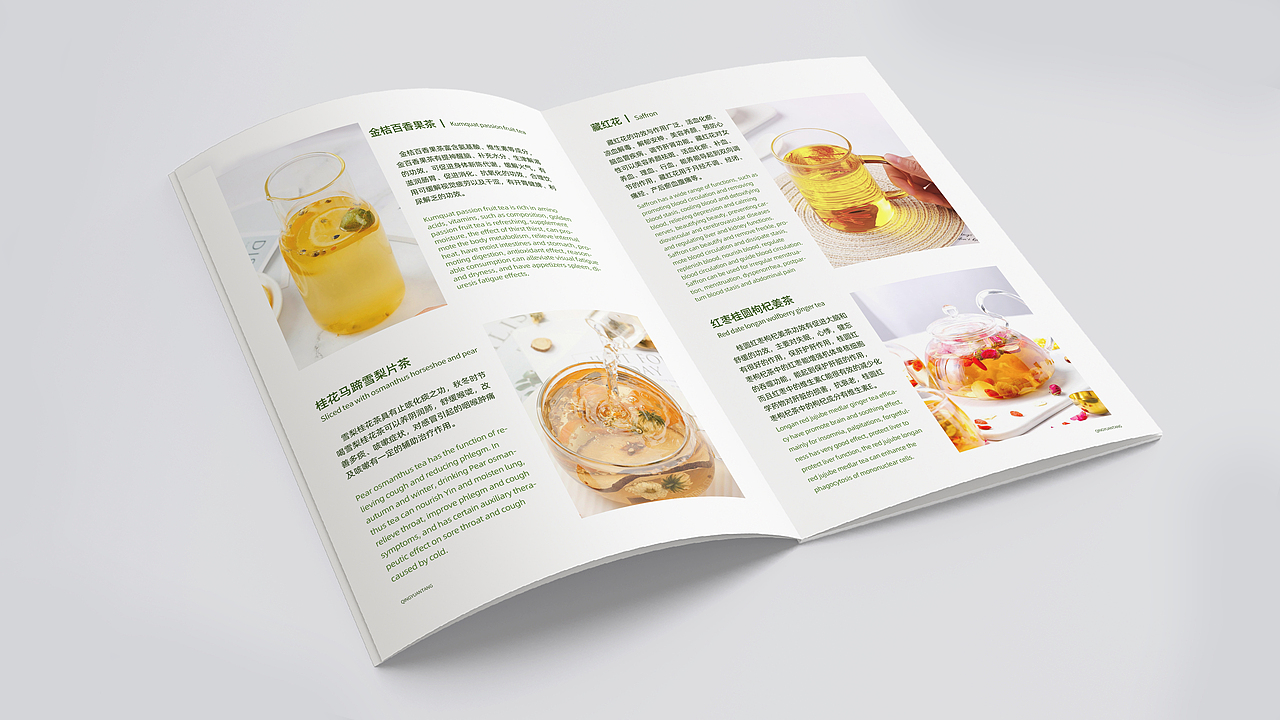 商业画册 品牌 招商加盟