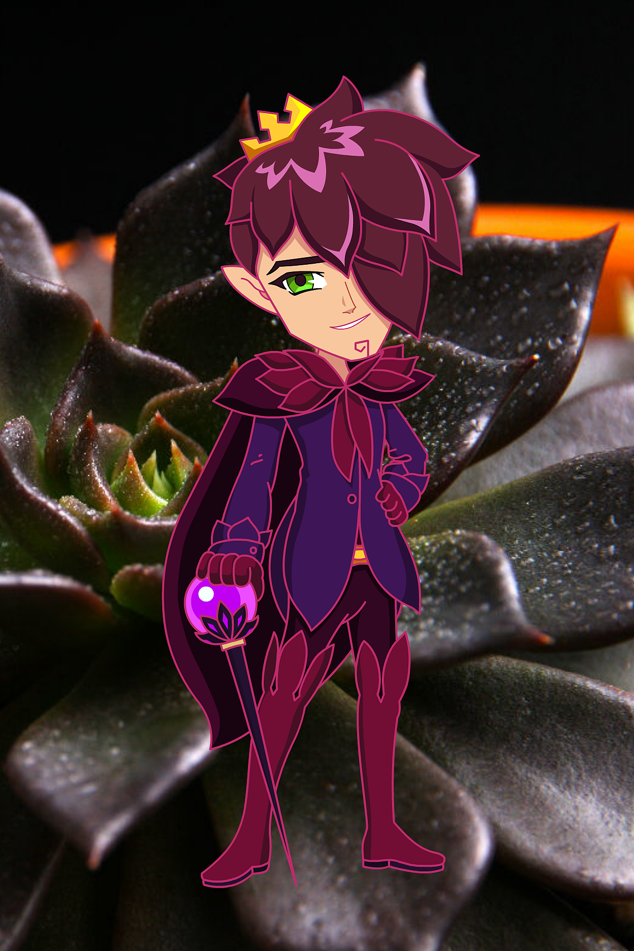 多肉植物拟人形象设计