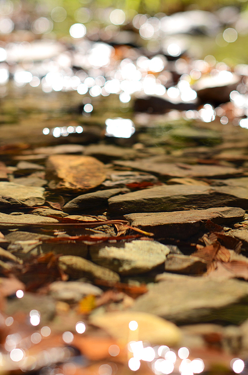 秋色（图ZNzE2MTQ1Ng==） - 风光摄影 - 站酷设计师ming6ming66原创素材 - 站酷ZCOOL