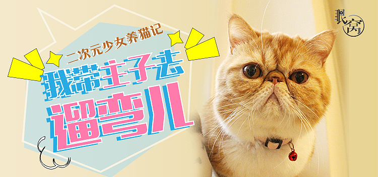 原创视频-风和日丽，溜猫去（图ZNzgyODU0NDQ=） - 短片 - 站酷设计师木盒原创素材 - 站酷ZCOOL