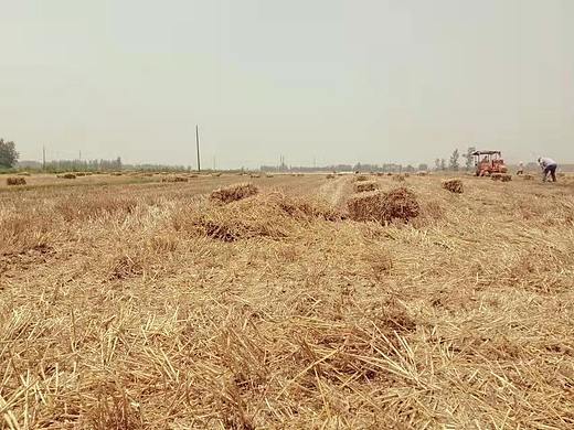 麦秸垛（个人主页-ZNTc5NzYwODQ=） - 其他摄影 - 站酷设计师Snivellus原创素材 - 站酷ZCOOL