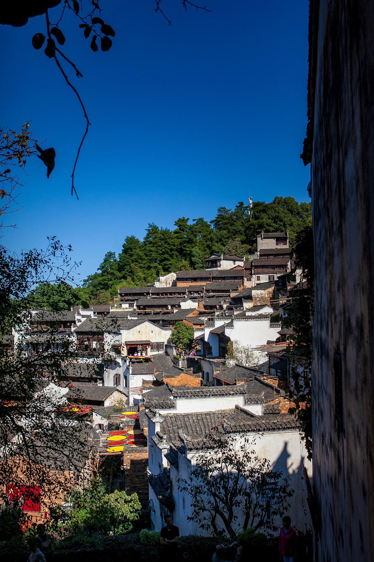 一匹黑马 丨 篁村晒秋