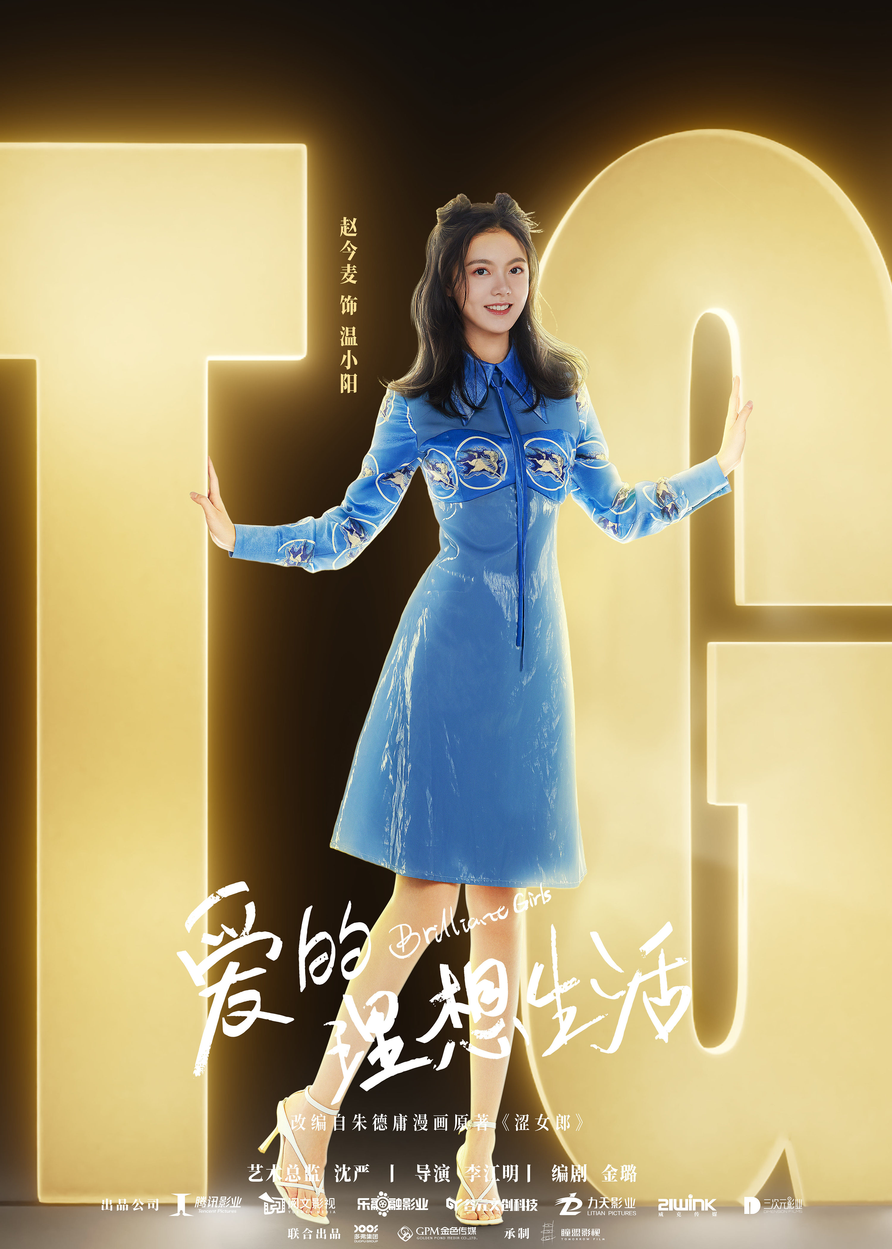 《爱的理想生活》海报