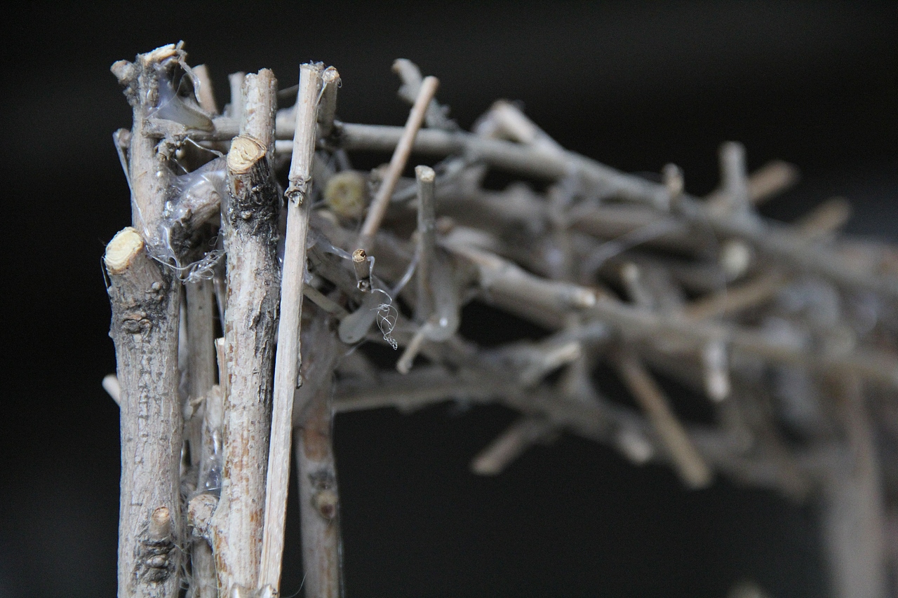 树枝拱门（方案）（图ZMjg1NTcyNjcy） - 景观设计 - 站酷设计师最美莫过于朴素原创素材 - 站酷ZCOOL