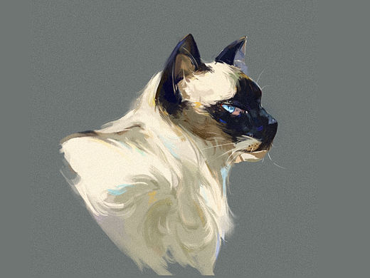 猫 厚涂