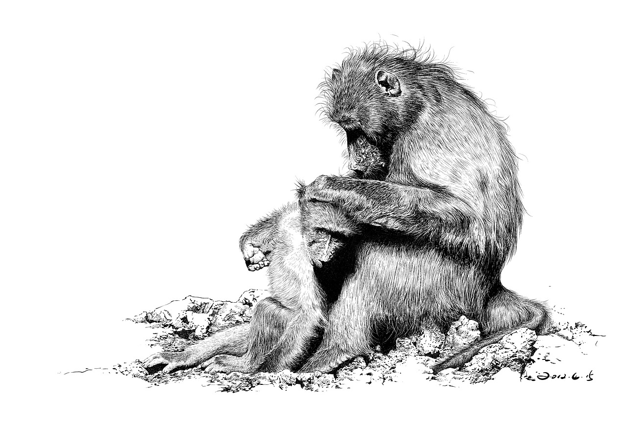 楚歌钢笔画动物系列