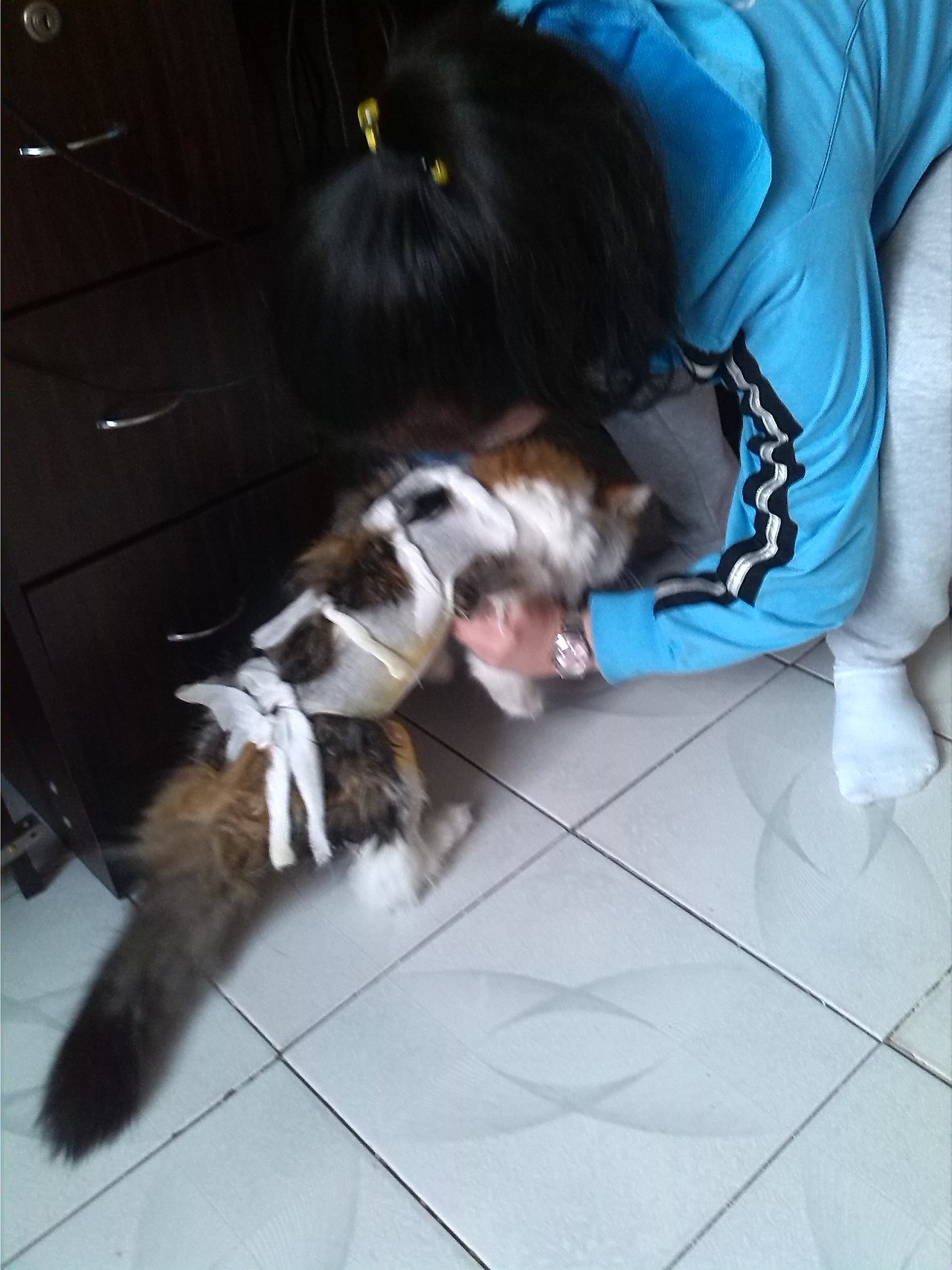 今天做了个手术,好伤心的