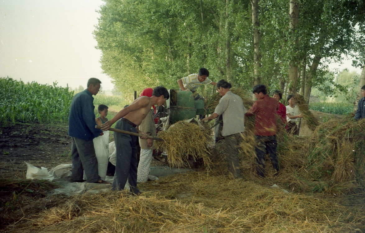 90年代的农村生活照片图片