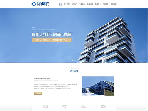 企业官网/网页设计