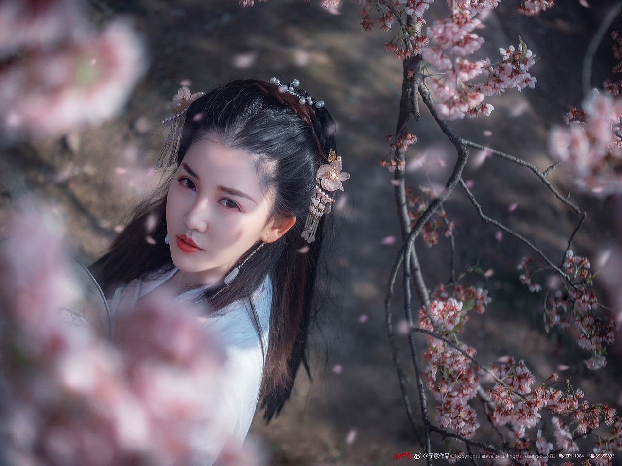 《樱花落，纷如雪》（图ZMTUyMzcyOTQ4） - 人像摄影 - 站酷设计师摄影师子意原创素材 - 站酷ZCOOL