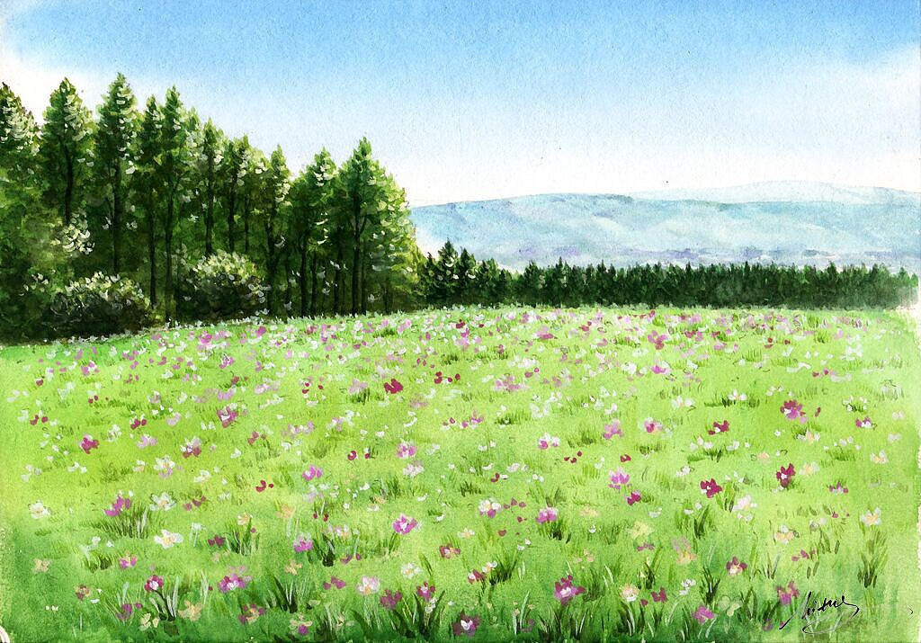 纯净的美|插画|商业插画|mitty_米蒂 - 原创作品 - 站酷 (zcool)