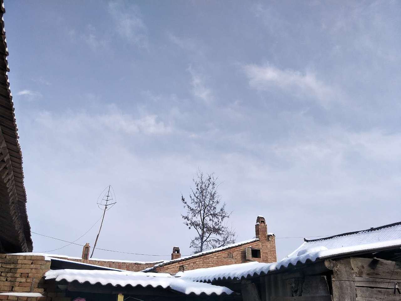 冬天里的一抹阳光（图ZMTU1NTc2NjEy） - 风光摄影 - 站酷设计师苗梓的一生原创素材 - 站酷ZCOOL