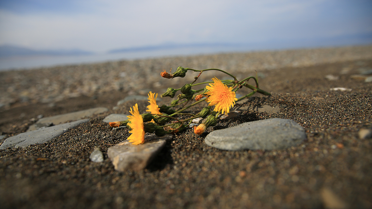 大西洋最后的眼泪——赛里木湖