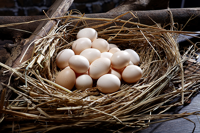 特产（图ZMTE4NzY5NTky） - 宣传物料 - 站酷设计师牧佐影像原创素材 - 站酷ZCOOL