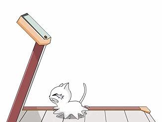 小堡趣事录flash动画原创动画二维动画制作玄猫动画