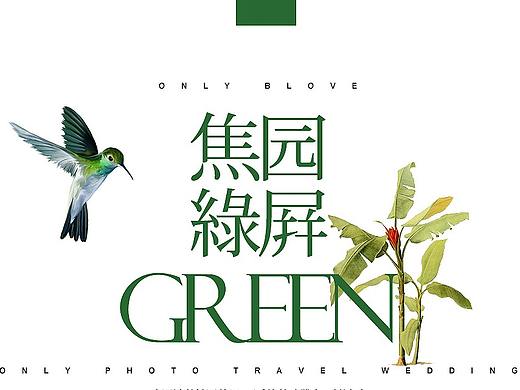 网页设计