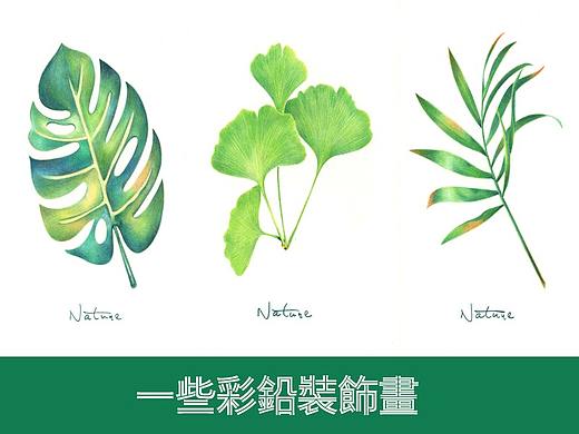 《一些彩铅装饰画》