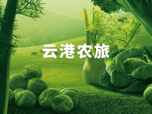 新型农业LOGO设计（个人主页-ZNTQ5NzUwODA=） - Logo - 站酷设计师分形壹何原创素材 - 站酷ZCOOL