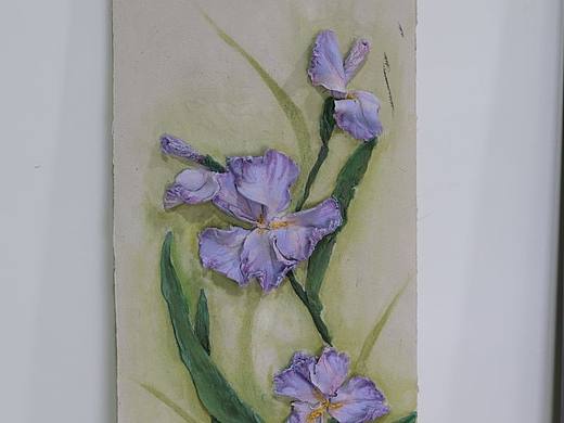 鸢尾花开，梦境如画