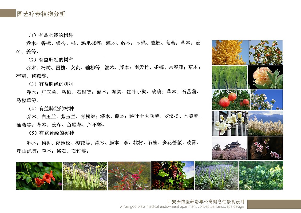 归园田居敬老院景观设计（图ZNzA2ODI1MzI=） - 景观设计 - 站酷设计师调色板22原创素材 - 站酷ZCOOL